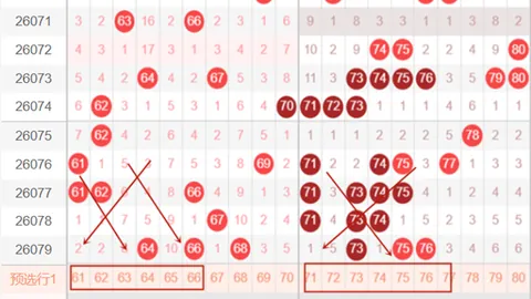 大乐透第2026099期盛京小涛推荐分析